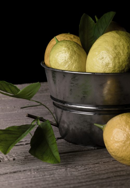 StillLife01C02